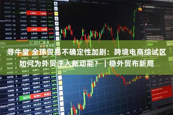 寻牛堂 全球贸易不确定性加剧：跨境电商综试区如何为外贸注入新动能？｜稳外贸布新局