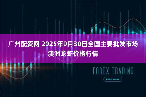 广州配资网 2025年9月30日全国主要批发市场澳洲龙虾价格行情