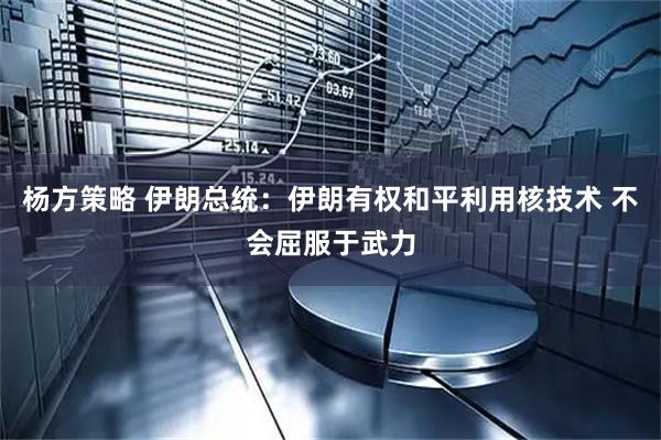 杨方策略 伊朗总统：伊朗有权和平利用核技术 不会屈服于武力