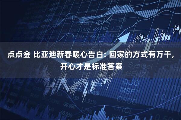 点点金 比亚迪新春暖心告白: 回家的方式有万千, 开心才是标准答案