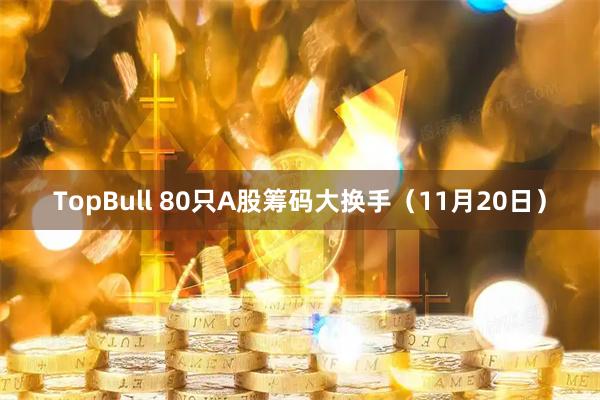 TopBull 80只A股筹码大换手（11月20日）