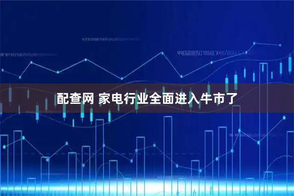 配查网 家电行业全面进入牛市了